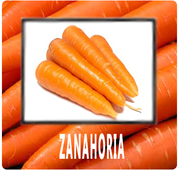 ZANAHORIA